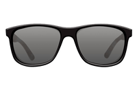 Sunglasses Classics Matt Black Shell