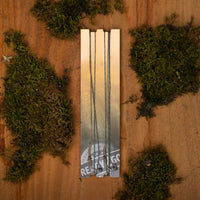 R2G Heli SR Leader 90/ Combi Rig Shot 0.3g