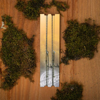 Complet - R2G Inline SR - Bas de ligne 90 cm - Montage plombé sur l'hameçon