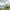 Avid Carp Extremity - 3 - Rod Pod - KarperCentrale