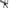 Delphin BlackWay - ProMAX - 3 Rod Pod - KarperCentrale