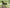 Delphin Wasabi - Relax Chair - KarperCentrale