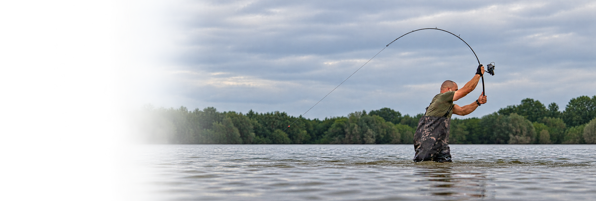 Carp rods