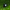 KERP Custom - Camera - Hanger - KarperCentrale