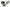 Korda Flat Pear Swivel - KarperCentrale