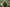 Nash Tackle ZT - Wind Chill Hoody Camo - KarperCentrale