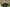 Nash Tackle ZT - Wind Chill Hoody Camo - KarperCentrale