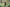 Nash Tackle ZT - Wind Chill Hoody Camo - KarperCentrale