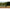 Solar Tackle P1 - WorldWide Pod - KarperCentrale